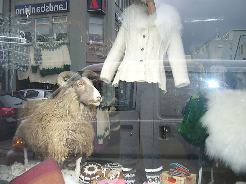 Wierd wool shop 2