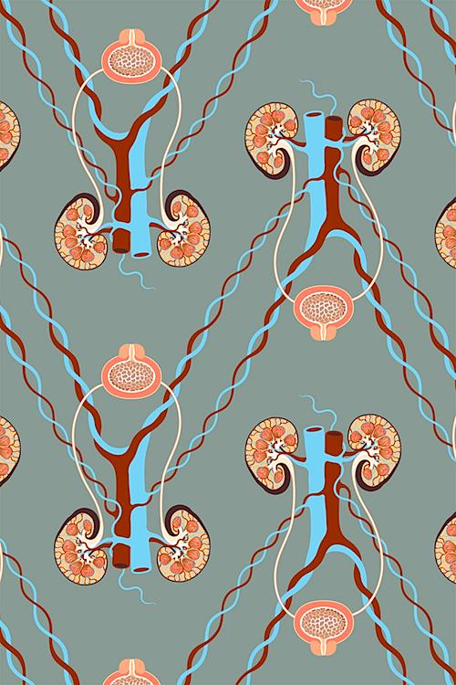Urinary tract wallpaper